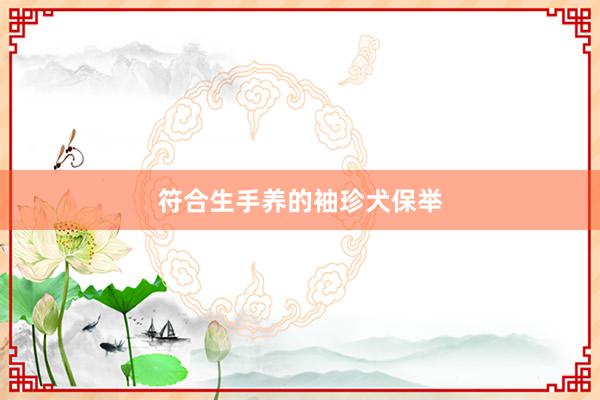 符合生手养的袖珍犬保举